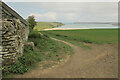 Path at Tregirls Farm