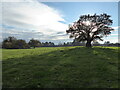 Part of the parkland and farm land of the Yeaton Peverey estate