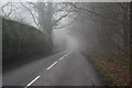 Road across Goathurst Common