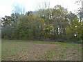 A moated site on the Yeaton Peverey estate