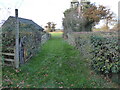 Footpath at Mytton