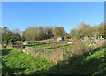 Stoke-by-Clare: allotments