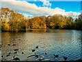 SD8303 : Heaton Park Lake by David Dixon
