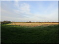 Stubble field near Hall Farm, Long Clawson