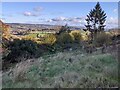 View across the Teign valley from Hennock