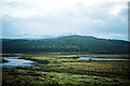 NH2561 : Strath Bran near Achanalt by Julian Paren