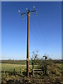 Field boundary and electricity pole off Scalford Road