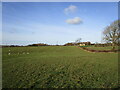 SK7422 : Grass field near Old Hills Wood by Jonathan Thacker