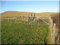 NY2433 : Gate and stile, Whitefield by Adrian Taylor