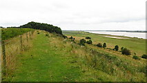 SE8924 : On path between Alkborough & Whitton & the upper reaches of the River Humber by Colin Park