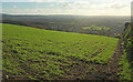 Field above Bovey Tracey