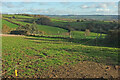 SX8279 : Farmland, Lower Crownley by Derek Harper