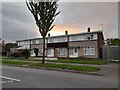 Houses on Campkin Road, Cambridge