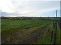 Grazing, Cowslap Farm