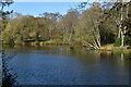 Lake at Warren Park Farm