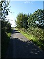 ST4262 : Strawberry Line, NCN26, south-west of Congresbury by David Smith