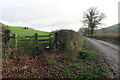 Llwybr yn gadael heol fynedfa / Path exits an access road