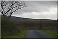 H0635 : Minor road heading to Cavan Burren Park by N Chadwick
