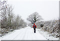 Walking a snow-covered road