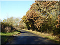 Lane towards Litchborough