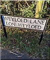 Bilingual lane name sign in Mynydd-bach, Monmouthshire