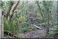 Steps on Pembrokeshire Coast Path