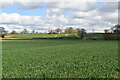 Extensive arable crops