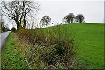 H4268 : Mullaghmore  Townland by Kenneth  Allen