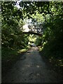 ST4158 : Ilex Lane bridge over Strawberry Line, Sandford by David Smith