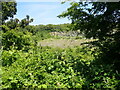 Former quarry at Porthkerry