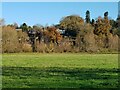 Houses at Holt Fleet from the riverside path (2)