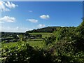 Manor Farm with Cross Plain beyond