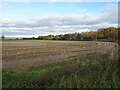 SE8339 : Stubble field beside the Market Weighton Road (A614) by JThomas