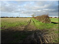 Farm track off Holme Road