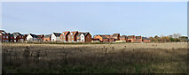 SO8791 : Himley Meadows Housing Development in Staffordshire by Roger  D Kidd