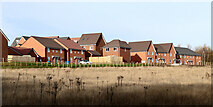 SO8791 : New housing in Wombourne Staffordshire by Roger  D Kidd