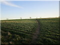 The Jubilee Way on the edge of Melton Mowbray