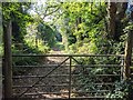 A bridleway near Townshend