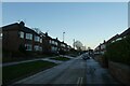 Snow on Newland Park Drive