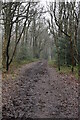 Bridleway, Oldbury Hill