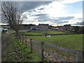 Approaching Wheatley farm on the Shropshire Way