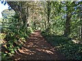 A bridleway near Townshend