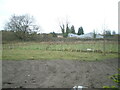 Undeveloped land at the end of Cherrington Way