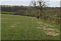 Footpath along hedge