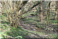 Tributary stream of the River Rother