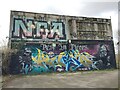 SP3264 : NFA: No Fascists Allowed – Leamington street art, Eagle Recreation Ground by Robin Stott