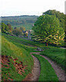 Farmland, Farmcote (3)