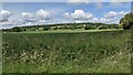 SO7661 : Rodge Hill (Viewed from the Martley Circular Walk) by Fabian Musto