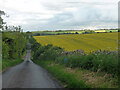 Country road near Naunton