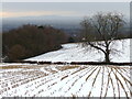 Countryside south of Beacon Hill